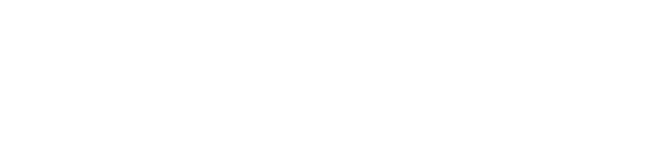 Porvo Logo